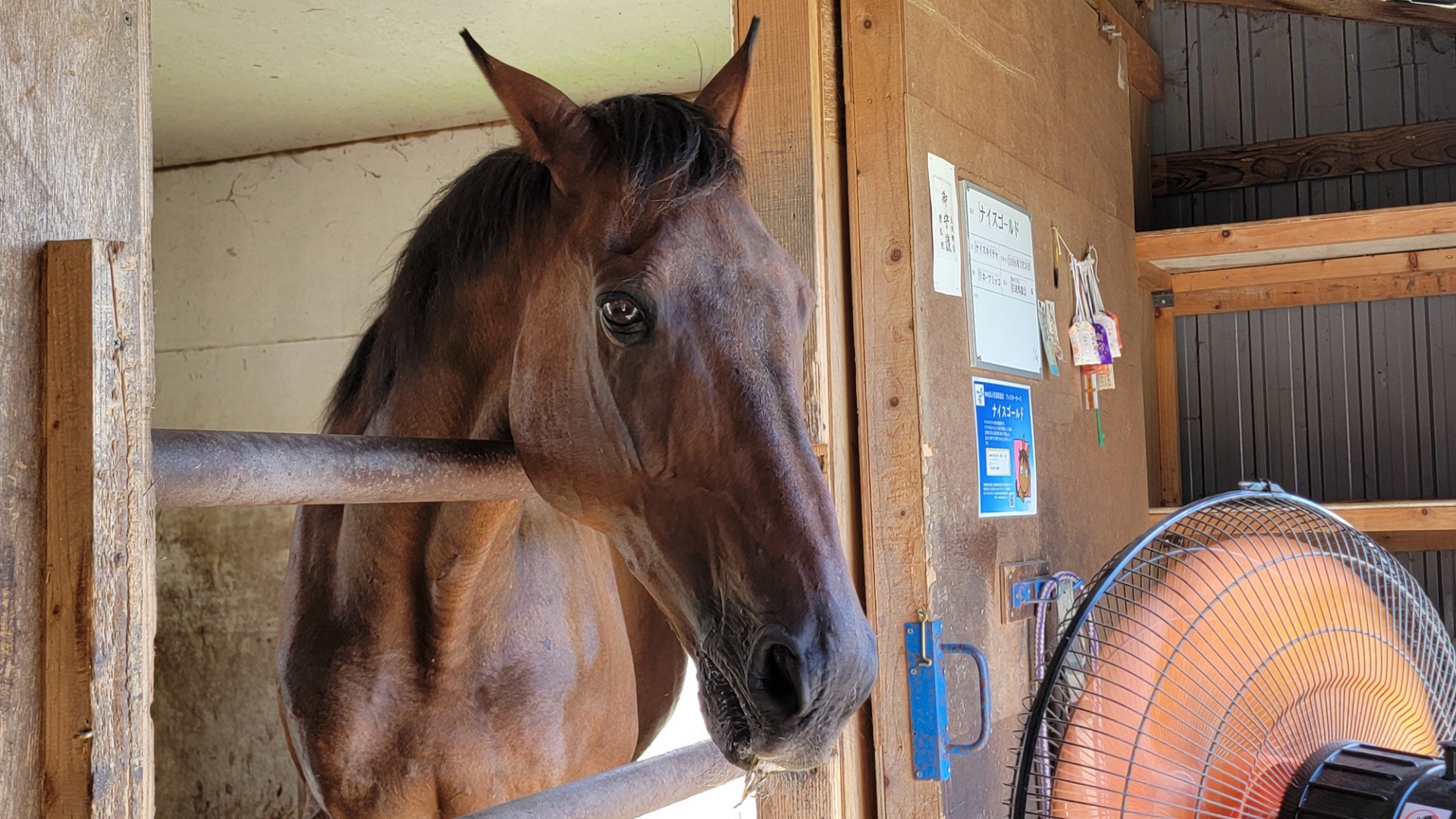 861ba4e7713d2abce916187517ca40b2-1760933807.jpg 861ba4e7713d2abce916187517ca40b2-1760933807.jpg